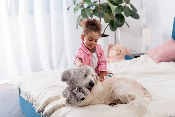 Cute african american kid sitting on the bed and playing with teddy bear and retriever — Stock Photo