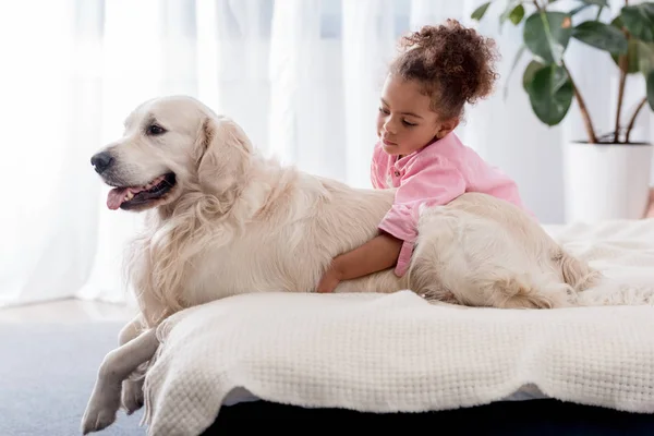 Carino africano americano bambino abbraccia il suo retriever su il letto — Foto stock