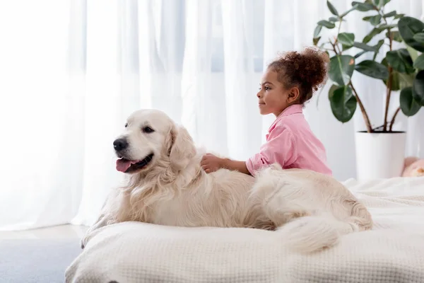 Adorable african american kid sitting on the bed on the side of her golden retriever — Stock Photo