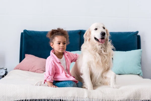 Curly african american child sitting on the bed and put her hand on dogs back — Stock Photo