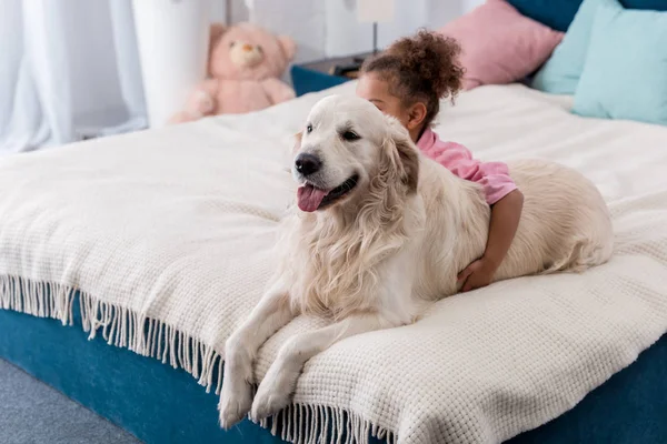 Adorable african american child sitting on the bed behind her retriever — Stock Photo