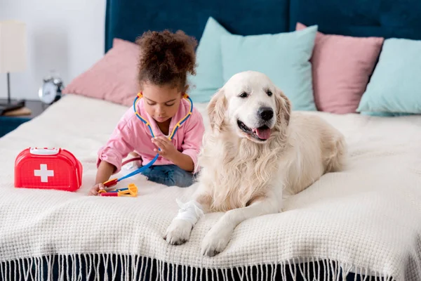 Adorable african american kid sitting on the bed with toys and retriever — Stock Photo
