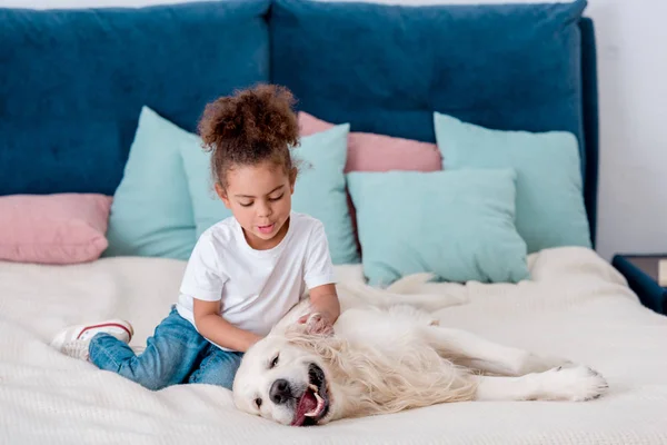 Adorável pequeno garoto afro-americano acariciando cachorro feliz enquanto sentado na cama — Fotografia de Stock