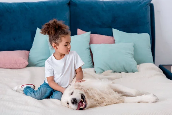 Cute  little african american kid petting dog while sitting on bed — Stock Photo