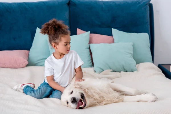 Lindo poco africano americano niño acariciando perro mientras sentado en cama - foto de stock