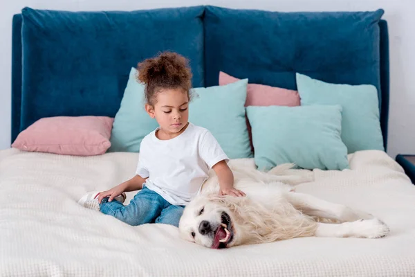 Lindo poco africano americano niño jugando con perro en cama - foto de stock