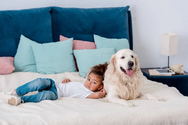 Adorable little african american kid lying on bed and leaning to happy dog — Stock Photo