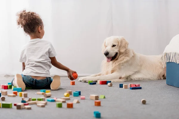 Little kid in white t-shirts with happy dog playing with toy cubes — Stock Photo