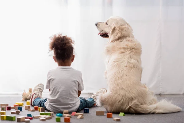 Vista trasera de niño pequeño en camisetas blancas con perro feliz rodeado de cubos de juguete - foto de stock