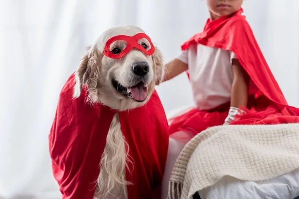 Vista parcial de niño pequeño con perro golden retriever en trajes de superhéroe rojo - foto de stock