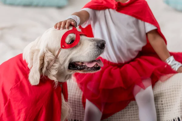 Partial view of hand petting happy golden retriever dog in superhero costume — Stock Photo