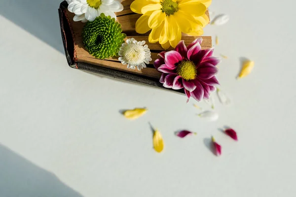 Top view of vintage book with bright flowers and petals — Stock Photo