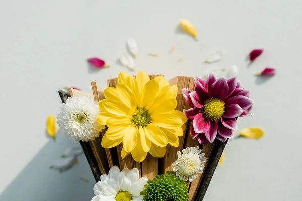 Top view of retro book with bright multicolored flowers and petals — Stock Photo