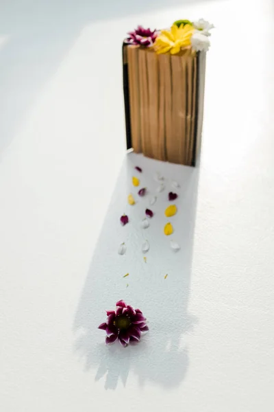 Livro retro com flores multicoloridas brilhantes e pétalas — Fotografia de Stock