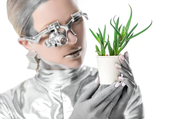 Portrait de robot argenté regardant une plante en pot isolée sur blanc, concept technologique futur — Photo de stock