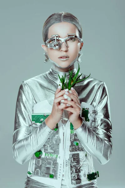 Silver robot holding potted plant and looking at camera isolated on grey, future technology concept — Stock Photo