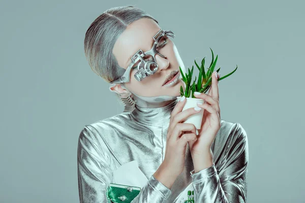 Silver robot holding potted plant with closed eyes isolated on grey, future technology concept — Stock Photo