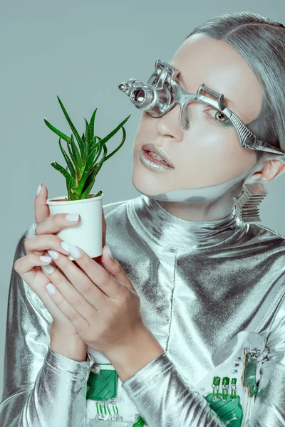 Portrait of silver robot holding potted plant isolated on grey, future technology concept — Stock Photo