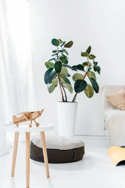 Современный интерьер гостиной с зеленым растением и игрушечной плоскостью — стоковое фото