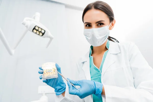 Female stomatologist holding dental jaw model with braces — Stock Photo
