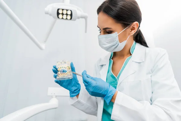 Женщина-стоматолог в маске держит модель челюсти с брекетами — стоковое фото