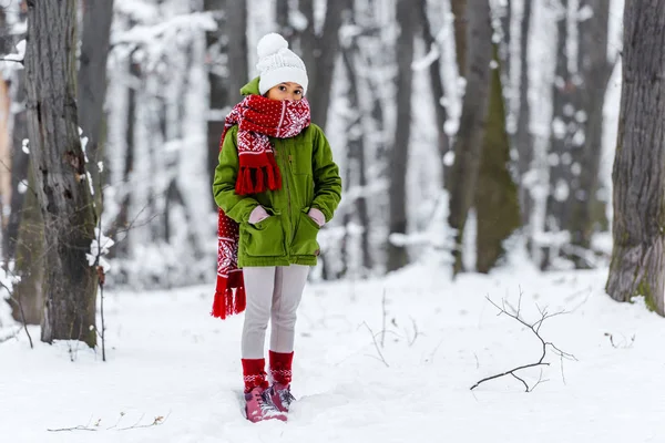 Afrikanisch-amerikanisches Kind in warmer Kleidung mit den Händen in den Taschen, die im Winterpark in die Kamera schauen — Stockfoto