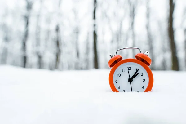Horloge rétro rouge debout sur la neige blanche près des arbres dans la forêt enneigée — Photo de stock