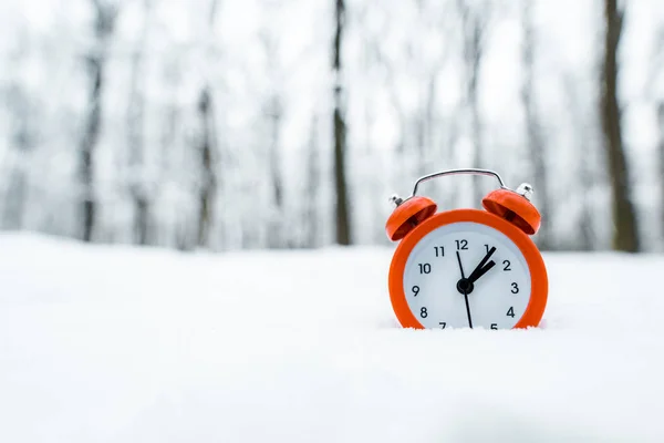 Reloj retro rojo de pie sobre nieve blanca cerca de los árboles en el bosque nevado - foto de stock