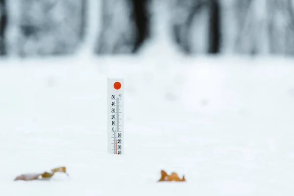 Termómetro que muestra la temperatura exterior en el bosque de invierno - foto de stock