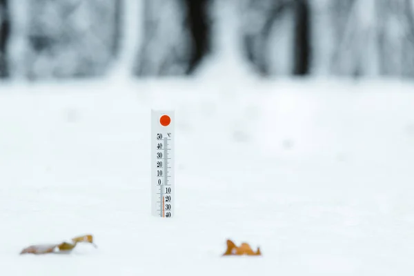 Thermometer showing temperature outside in winter forest — Stock Photo