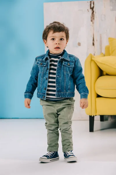 Adorable niño en chaqueta azul y pantalones vaqueros verdes de pie en la sala de estar - foto de stock