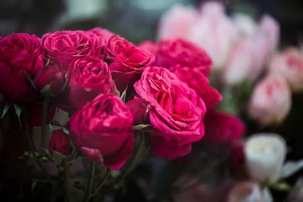 Enfoque selectivo de ramo con flores de rosa rosa fresca - foto de stock
