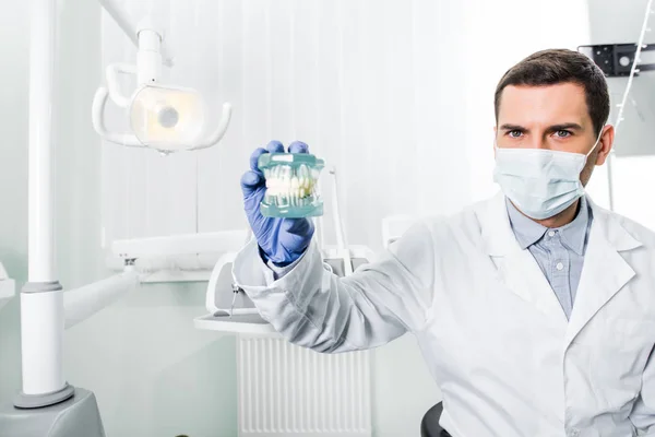 Dentista en guantes de látex y máscara que sostiene los dientes modelo en la mano - foto de stock