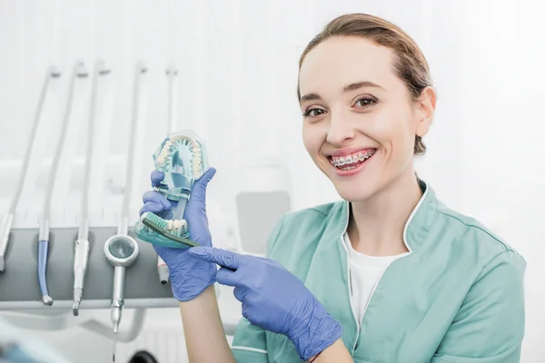 Hermoso dentista con frenos en los dientes sosteniendo los dientes modelo y mostrando cómo cepillarse los dientes con cepillo de dientes - foto de stock