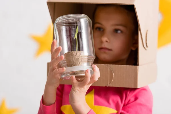 Curioso bambino in casco di cartone guardando pianta in vaso — Foto stock