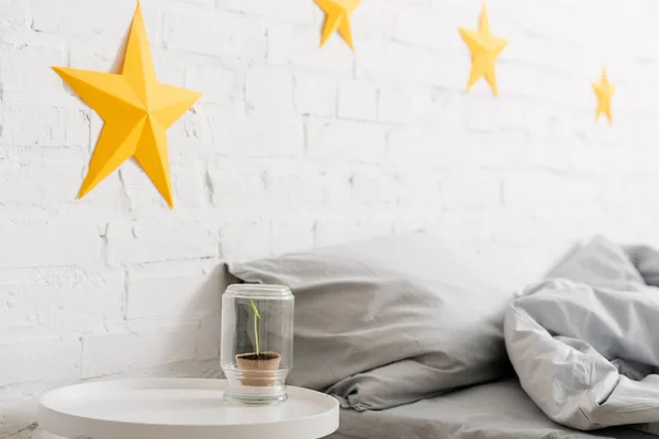 Planta en tarro de vidrio de pie en la mesa en dormitorio - foto de stock