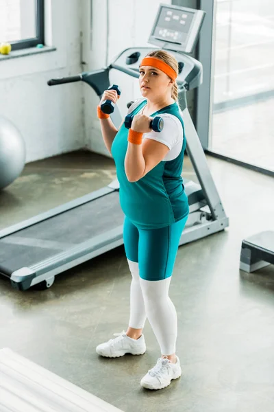 Overhead view of confident plus size woman training with dumbbells — Stock Photo