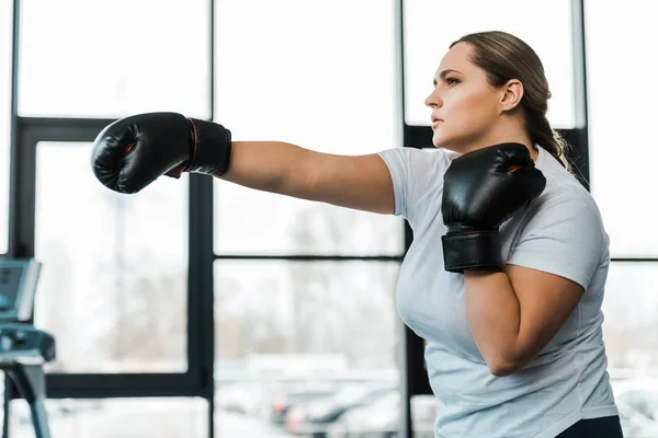 Серьезная женщина с избыточным весом занимается кикбоксингом в спортзале — стоковое фото