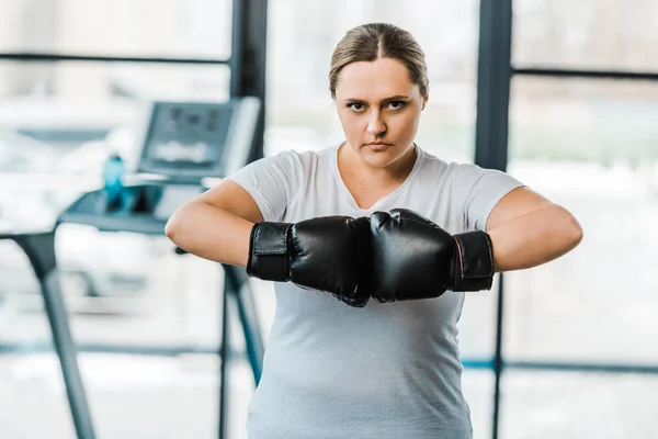 Sério plus tamanho mulher vestindo luvas de boxe olhando para a câmera no ginásio — Fotografia de Stock