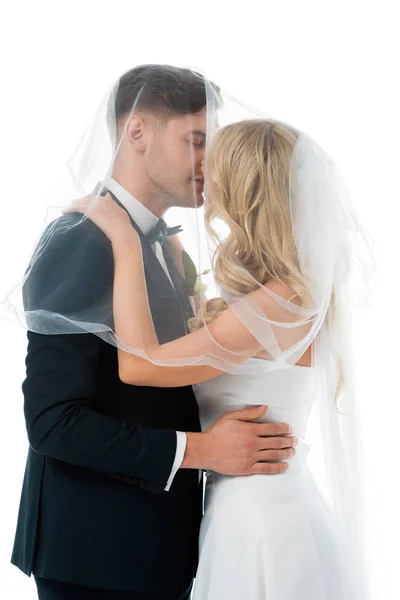 Bride kissing groom while covering him with bridal veil isolated on white — Stock Photo