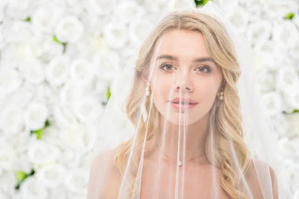 Retrato de hermosa novia joven con la cara cubierta con velo nupcial transparente sobre fondo floral blanco - foto de stock