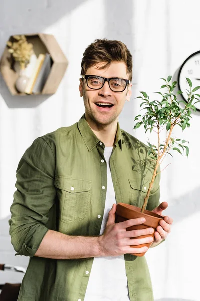 Homme excité en chemise et lunettes tenant pot avec plante près du mur de briques dans le bureau — Photo de stock