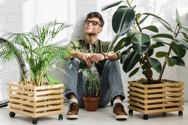 Felicidad hombre en camisa y vasos sentado cerca de macetas con plantas y pared de ladrillo en la oficina - foto de stock