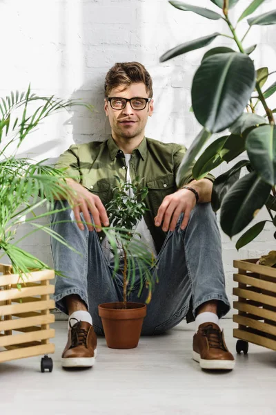 Чоловік у сорочці та окулярах, що сидить біля горщиків з рослинами та цегляною стіною в офісі — стокове фото