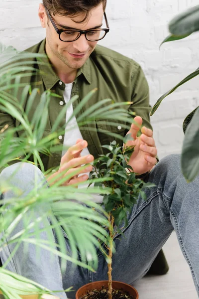 Selective focus of man in green shirt and glasses sitting near pots with plants and brick wall in office — Stock Photo