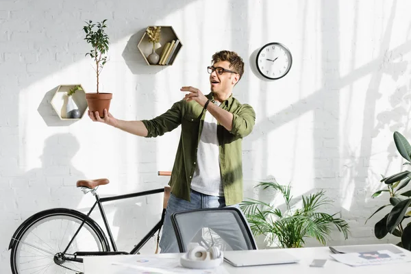 Tricky handsome man in green shirt and jeans holding pot with plant in office — Stock Photo