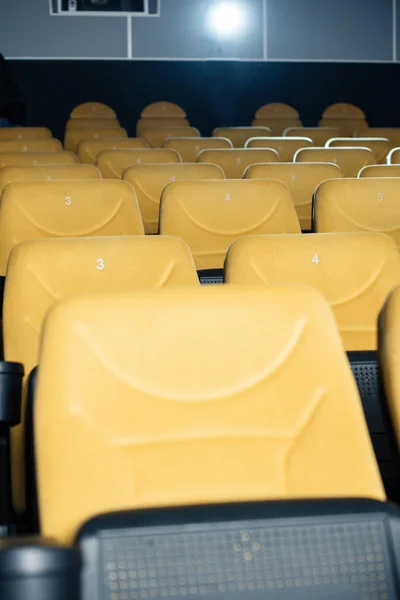 Rows of comfortable, numbered orange seats in cinema hall — Stock Photo