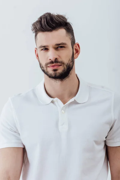 Handsome bearded man in white polo shirt looking at camera isolated on grey — Stock Photo