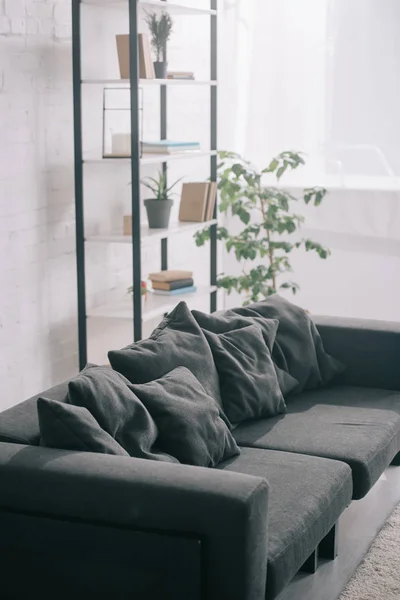 Black sofa near plant and rack in modern living room — Stock Photo