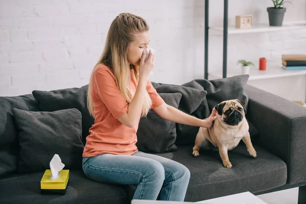 Blonde woman allergic to dog sitting near pug and sneezing in tissue — Stock Photo